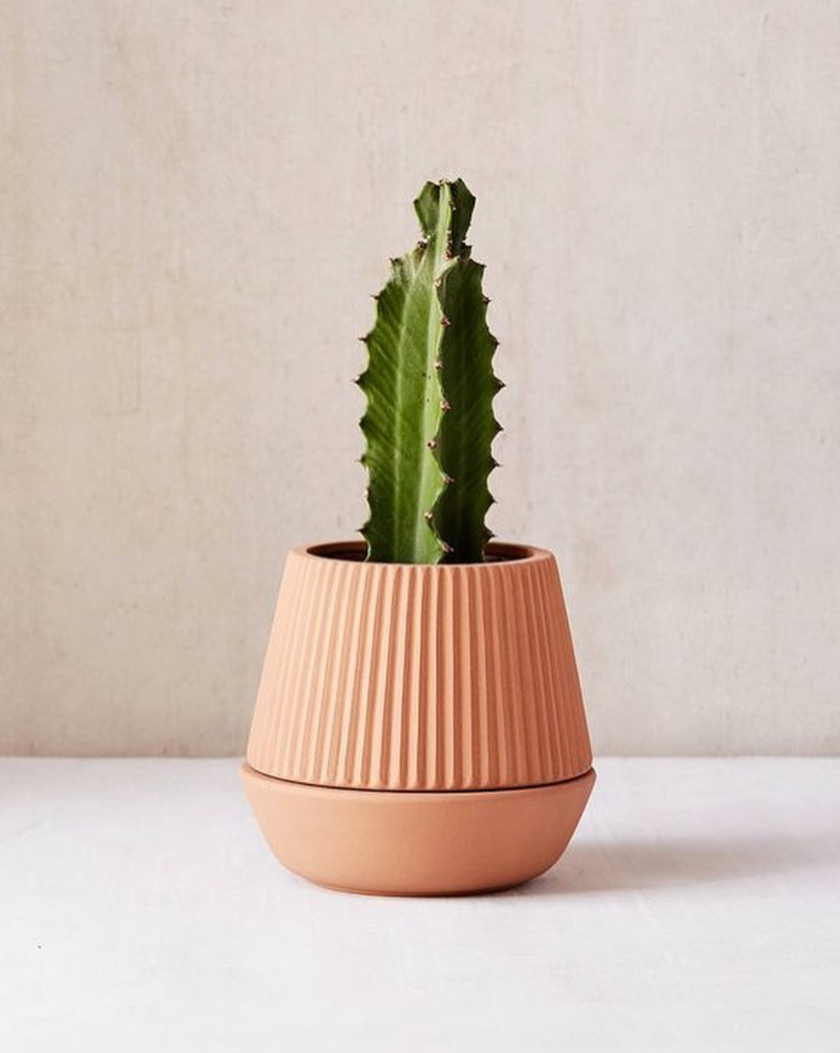 Umbra Shift Pleated Planter with Self-Watering Wick