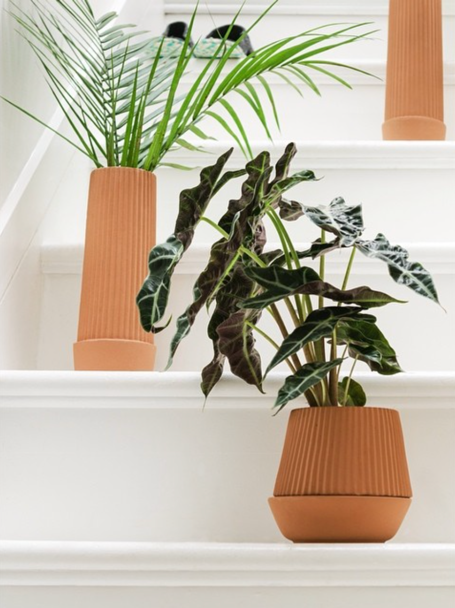 Umbra Shift Pleated Planter with Self-Watering Wick